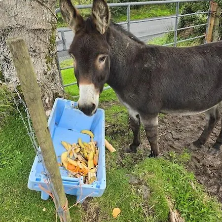 Benroe House 5 Bedrooms קיליבגס