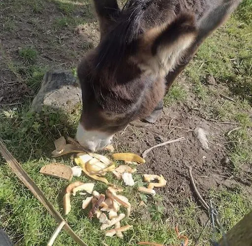 Benroe House 5 Bedrooms *