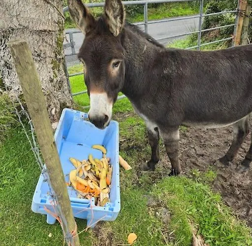 Benroe House 5 Bedrooms Killybegs