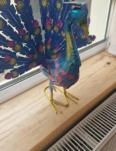 Benroe House 5 Bedrooms Killybegs